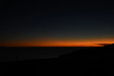 DSC_2571 (Large).JPG